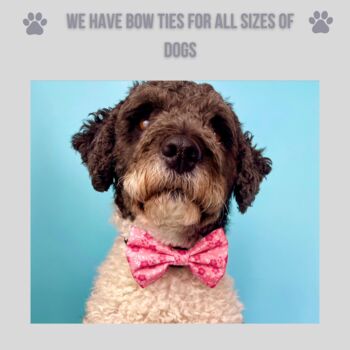Pink Floral Dog Bow Tie, 4 of 4