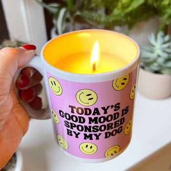 Todays Good Mood Is Sponsored By Candle With A Handle, 4 of 4
