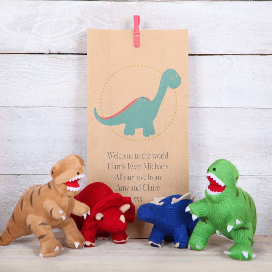 dinosaur rattle with personalised gift bag by red berry apple