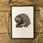 E Is For Echidna Illustration Print, thumbnail 1 of 6