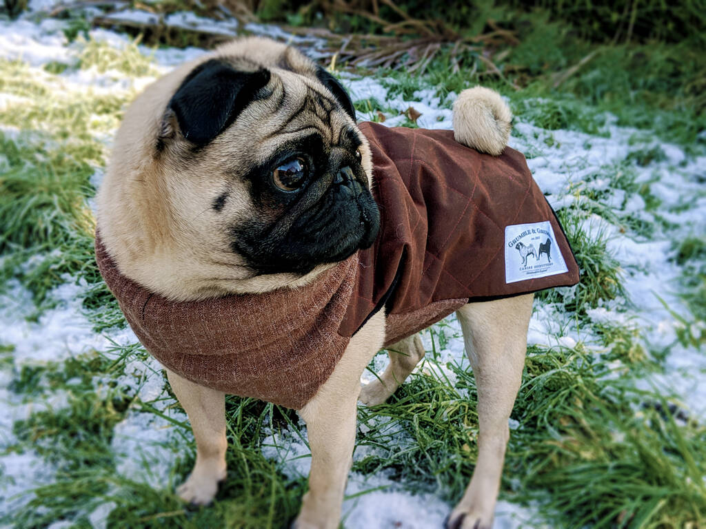 Waxed Cotton Quilted Snood Made To Measure Dog Jacket By Grumble