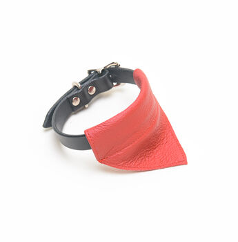 Dog Collar Leather, 6 of 9