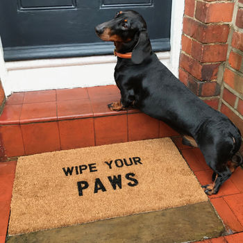 'Wipe Your Paws' Coir Doormat, 2 of 4