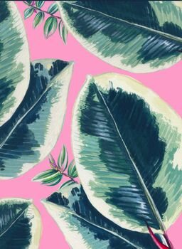 House Plant Bold Rubber Plant Print, 2 of 2