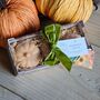 Pumpkin Spice 3pc Pumpkin Soap Bar Set, thumbnail 2 of 2