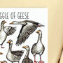 Gaggle Of Geese Watercolour Illustrated Postcard, thumbnail 6 of 8