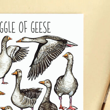 Gaggle Of Geese Watercolour Illustrated Postcard, 6 of 8