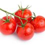 Tomato Plants 'Alicante' Six Plug Plant Pack, thumbnail 1 of 6