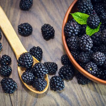 Fruit Plants Blackberry, 2 of 7