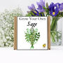 Gardening Gift. Grow Your Own Herbs. Sage Seeds Kit, thumbnail 2 of 4