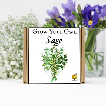 Gardening Gift. Grow Your Own Herbs. Sage Seeds Kit, 2 of 4
