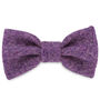 Sasha's Purple Harris Tweed Dog Bow Tie, thumbnail 1 of 2