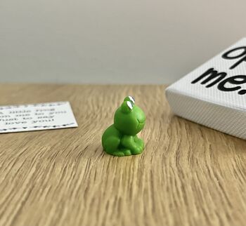 I Love You Gift, Frog Gift, Keepsake Gift, Novelty Gift, 3 of 7