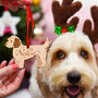 Traditional Wooden Dog Christmas Decoration, thumbnail 2 of 12