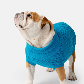Plain Knitted Turquoise Knitted Dog Jumper, 2 of 4