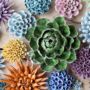 Ceramic Coral . Design Your Wall /Terrarium Garden, thumbnail 9 of 12