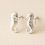 Sterling Silver Seahorse Stud Earrings, thumbnail 1 of 9