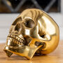 Metal Skull Decor Ornament, thumbnail 1 of 3