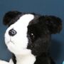 Mini Border Collie Dog Toy With Personalised Case, thumbnail 2 of 4