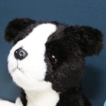 Mini Border Collie Dog Toy With Personalised Case, 2 of 4