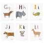 Personalised Animal Alphabet Flash Cards, thumbnail 5 of 9