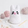 Learn To Amigurumi Crochet Box, thumbnail 6 of 9