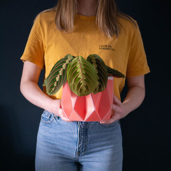 Origami Self Watering Eco Plant Pot: 15cm | Coral, 3 of 6