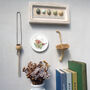 Wren And Snowdrops Decorative Mini Wall Plate, thumbnail 3 of 8