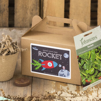 Rocket Ship Seed Kit, Grow Your Own Rocket, Party Bag, 2 of 8