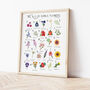 The A To Z Of Edible Flowers Print, thumbnail 2 of 6
