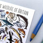 Marine Wildlife Of Britain Watercolour Postcard, thumbnail 12 of 12