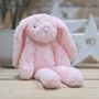 Katie The Long Leg Light Pink Bunny Soft Toy, thumbnail 1 of 3