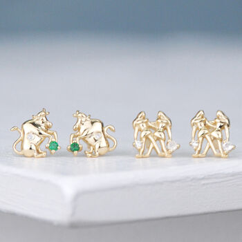 Gold Vermeil Zodiac Stud Earrings, 10 of 12