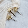 Marley Preserved Gypsophila Wedding Hair Pins, thumbnail 4 of 5
