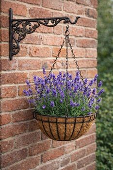 Hanging Basket Hook With Cast Iron Curls Design, 4 of 4