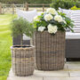 Round Rattan Planter With Curved Base, thumbnail 1 of 4