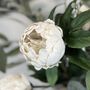 Real Feel Faux Peony Off White Stem, thumbnail 3 of 5