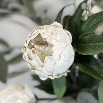 Real Feel Faux Peony Off White Stem, 3 of 5