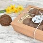 Personalised Easter Dog Biscuits Gift Set, thumbnail 3 of 4