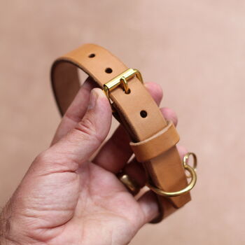 Personalised Leather Dog Collar, 9 of 12