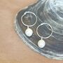 Sterling Silver Pearl Hoops, thumbnail 1 of 1