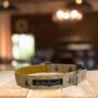 The Hive Gold Luxury Dog Collar, thumbnail 1 of 2