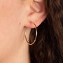 Medium 9ct Gold Hoop Earrings, thumbnail 1 of 7
