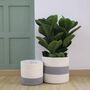 Pack Of Two Flower Planter Storage Containers, thumbnail 10 of 12