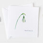 Snowdrop Card, Bereavement Sympathy Card ..Botanical 01, thumbnail 2 of 3