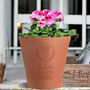 Personalised Wedding Or Anniversary Flower Pot, thumbnail 2 of 9