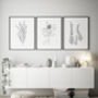 Black And White Set Of Three Floral Line Art Prints, thumbnail 1 of 5