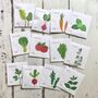 Grow Your Own Veg Wall Seed Calendar 2025, thumbnail 5 of 8