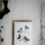 Colour Butterfly Greeting Cards – Set Of Four Vintage A6 Designs, thumbnail 6 of 11