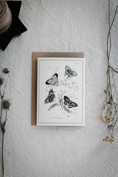 Colour Butterfly Greeting Cards – Set Of Four Vintage A6 Designs, 6 of 11